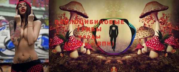 ECSTASY Абаза